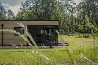 River Logie Lodges - Westfield - 9