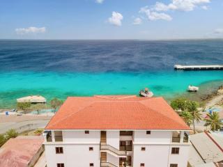 Penthouse on the Bay in Chachacha Beach Apartments - Kralendijk - 9