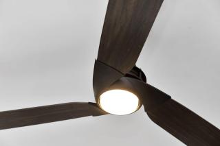 Belnem Breeze Dushi Bida - 5