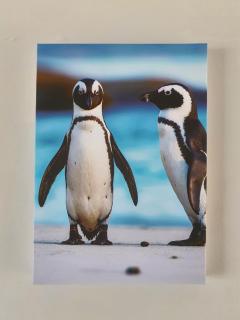 Mountain and Oceanview at Blouberg -  - 8