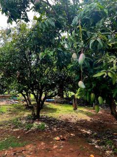 Rawinnipha's Resort & Garden Khonkaen - 1