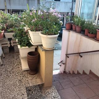 Casa Nashi - Ugento - 4