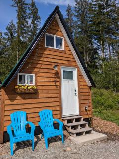 Farmhouse cabin on 33 acre farm - 0