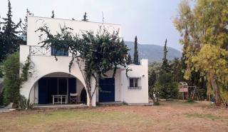 Cycladic style house by the sea - Nerotriviá - 0