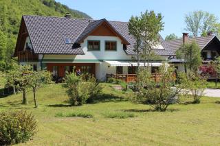 Apartments Villa Dov - Bohinj - 9