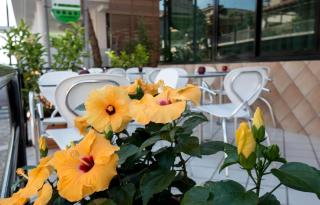 Hotel Scarlet - Rimini - 6