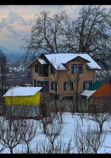 Chinar Cottage - Srinagar - 9