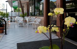 Hotel Scarlet - Rimini - 2