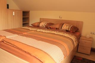 Apartments Villa Dov - Bohinj - 4