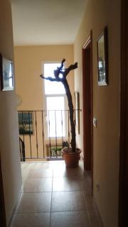 Casa del Lago - Alcúdia - 8
