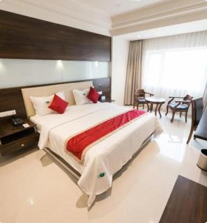 Blossoms Rooms- Beside Care Hospital- Banjara Hills - Hyderabad - 9