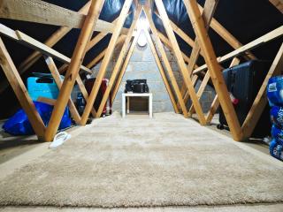 Mini House - all in one and pets welcome - 5