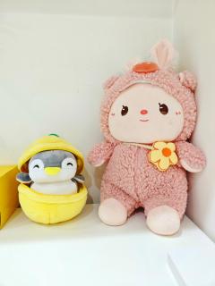 Mini House - all in one and pets welcome - 1