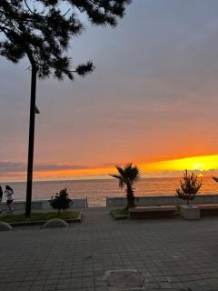 Elenes best house - Kobuleti - 1