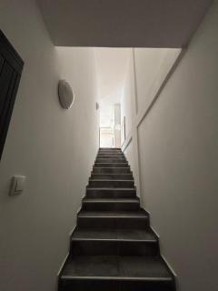 Sunny Hill - Novi Sad - 6