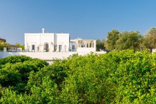 Masseria Limonaia & Spa - Fasano - 9