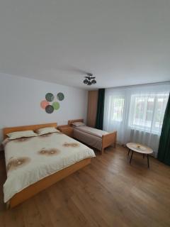 BicazApart - Bicaz - 6