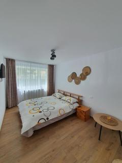 BicazApart - Bicaz - 2