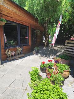 Quirky&Old Cottage for Families - Colyford - 8