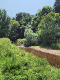 Quirky&Old Cottage for Families - Colyford - 1