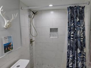 Charming, Newly Renovated 1 Bed, 1 Ba, FREE Parking - Washington, D.C. - 7