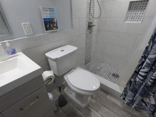 Charming, Newly Renovated 1 Bed, 1 Ba, FREE Parking - Washington, D.C. - 4