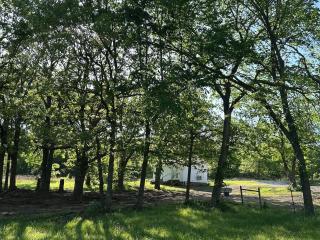 The Birds Nest - NEW - Sand Springs - 3