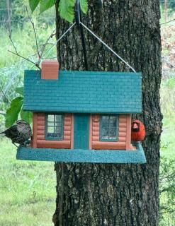 The Birds Nest - NEW - Sand Springs - 4