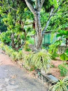 Hotel Oshin - Trincomalee - 4
