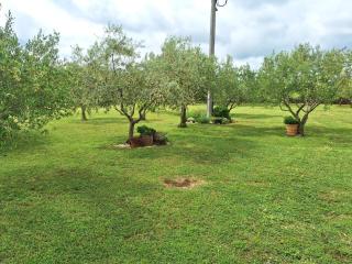 Apartman Lancun - Pridraga - 6