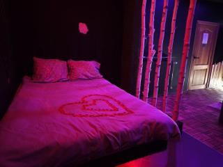 Suite love Jacuzzi - Charleroi - 2