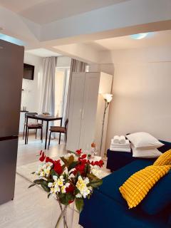 Studio Dumy near Airport - Otopeni - 4