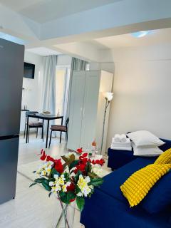 Studio Dumy near Airport - Otopeni - 2
