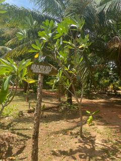 Araliya resort dambulla with free cooking class - 4