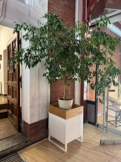 Balticus House - 3