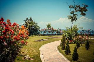 Beachfront Studio with Sea Views - 3