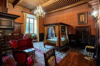Chateau De Picomtal - Crots - 7