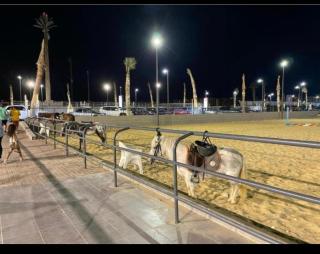 Stylish chalet at Porto golf - El Alamein - 7