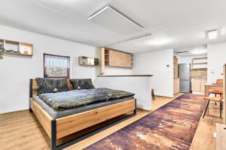 Apartmán Reny - Sokolov - 4