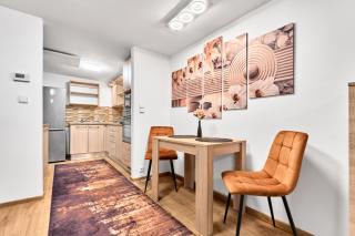 Apartmán Reny - Sokolov - 2