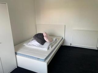 Home in Reading Uni Area - Moffat - 1
