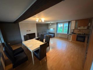 Wooden Bridge Residence - Karlsbad - 3