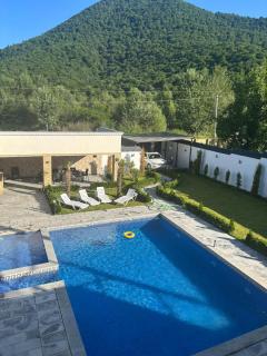 Palmen Villa Gabala - Gabala - 5