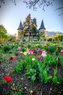 Chateau De Picomtal - Crots - 4