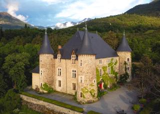 Chateau De Picomtal - Crots - 8