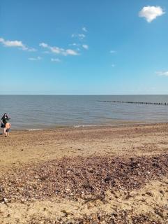 toto retreat by the sea - - 9