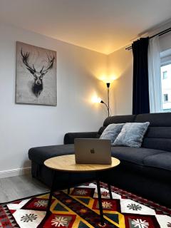 Spacious apartment - 2 bedrooms, 1 living, 2 baths - Vatra Dornei - 0