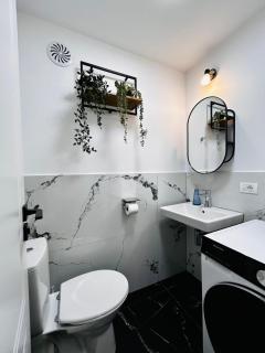 Spacious apartment - 2 bedrooms, 1 living, 2 baths - Vatra Dornei - 4