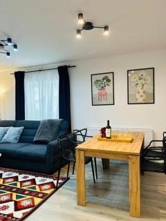 Spacious apartment - 2 bedrooms, 1 living, 2 baths - Vatra Dornei - 9