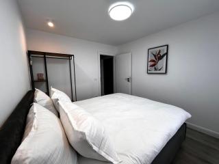 Spacious apartment - 2 bedrooms, 1 living, 2 baths - Vatra Dornei - 1